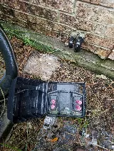 Bulwark Exterminating photo 8