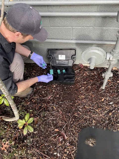 Cascade Pest Control in Seattle