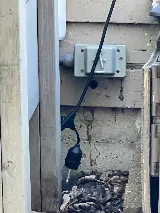 LM Professional Pest Control photo 2