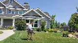 Vertex Pest Control photo 4