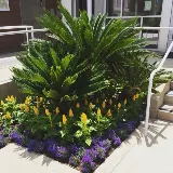 Four Seasons Landscape and Property Services photo 8