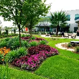 Vibrant Landscaping Nanaimo photo 8