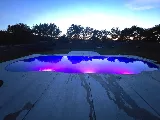 POOL-ology photo 8