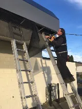 Pest Scene Investigations photo 7