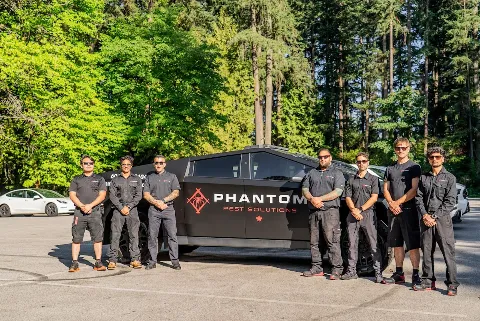 Phantom - Burnaby Pest Control in Burnaby