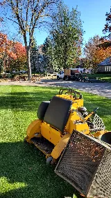 Green Horizons Lawn Care photo 4