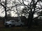 Ortega's Lawn and Landscaping, LLC photo 5