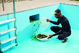 Ocean Pool Cleaning Services photo 2