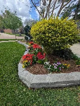 Douglas Lawn And Landscaping photo 3
