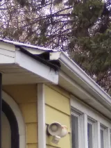 Humberto's Pest Management Services photo 7