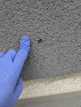 Precision Pest Control photo 8