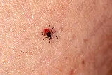 Southeast Florida Pest Control photo 6