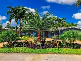 Pink and Green Lawn Care and Landscape