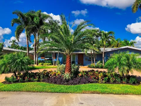 Pink and Green Lawn Care and Landscape in Pembroke Pines