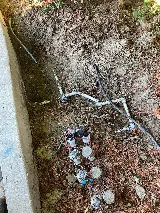 Green Guru Gardening, Landscaping & Esthetics photo 8