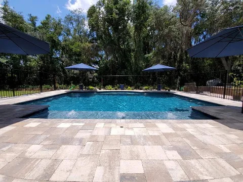 Tropical Escapes Pool Builders, LLC. photo 1