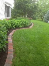 Springfield Lawn and Landscape photo 5