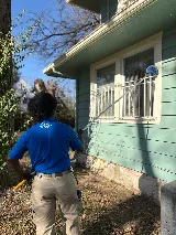 Blue Beetle Pest Control photo 4