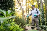 Greenix Pest Control photo 4