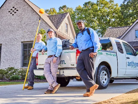 Aruza Pest Control photo 1