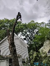 United landscaping cleaning management services photo 3