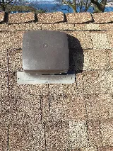 Old Island Pest Control photo 3