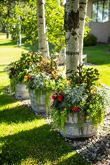 Blanchford Landscape Group photo 8