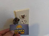 Rocky Mountain Bed Bug photo 5