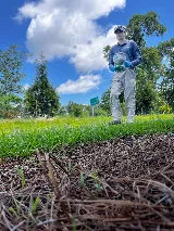 ClearDefense Pest Control photo 5