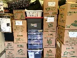 CleanSlateMoving photo 5
