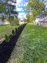 Brother & Sister Landscaping