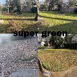 Super Green J&D LLC photo 7