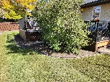 Al's Landscaping Services photo 4