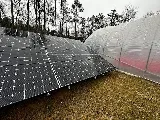Broker Solar photo 4