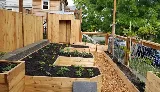 Seattle Sustainable Landscapes photo 3