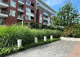 Para Space Landscaping Inc photo 8