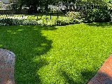 Brother & Sister Landscaping photo 2