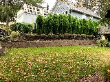 Juarez landscaping LLC photo 8