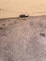 A Step Above Pest Control photo 7