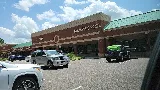 Memphis Pool Germantown photo 7