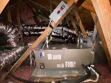 Berrett Pest Control photo 9