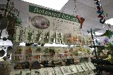Green Landscape Nursery photo 7