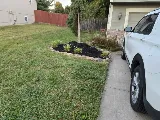 Quality Lawn & Landscape Bros. photo 5