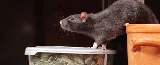 ASA Pest Control Inc photo 5