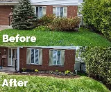 Sudbury Sod Father