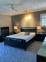 WNC Floor & Home and Kiba Studios photo 7