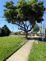 E N D Landscaping photo 7