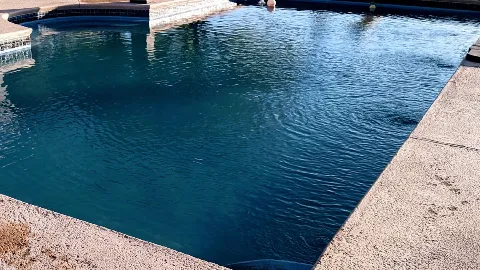 Texas Pool Dudes photo 1