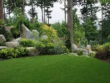 Green Ventures Landscape Care Limited photo 4