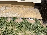 Newark Exterminator Last Stop Pest Control photo 3